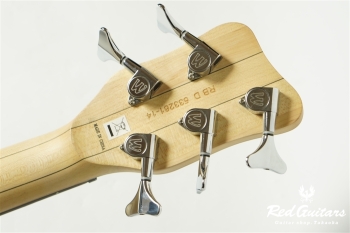RockBass STREAMER LX 5